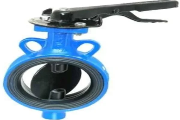 Butterfly valve 2.5